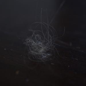 The last summer / III. La guerre 