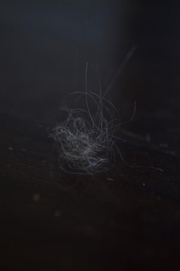 The last summer / III. La guerre 