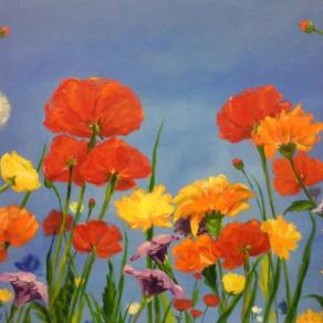 colori e profumi di campo