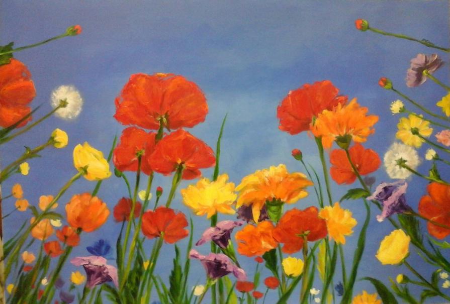 colori e profumi di campo