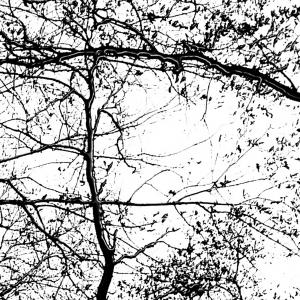 Cicatrici nel cielo2, SC-art Cicatrici nel cielo2, SC-art