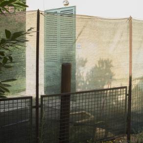 Vorrei essere altro, vorrei essere me.