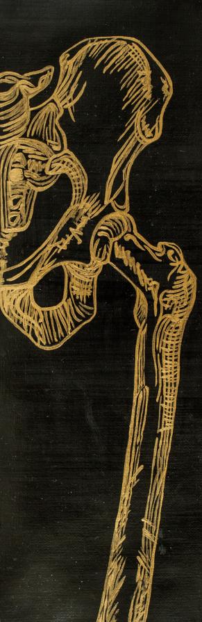 Imperishable Relics (Pelvic Bone) 