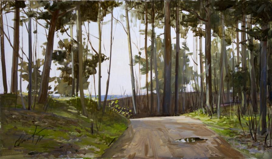 On the way to the sea