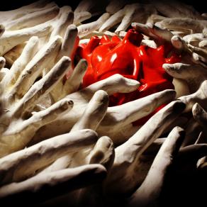 DOVE NASCONO LE EMOZIONI