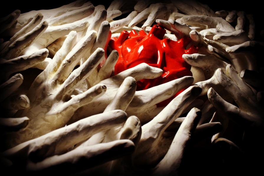 DOVE NASCONO LE EMOZIONI