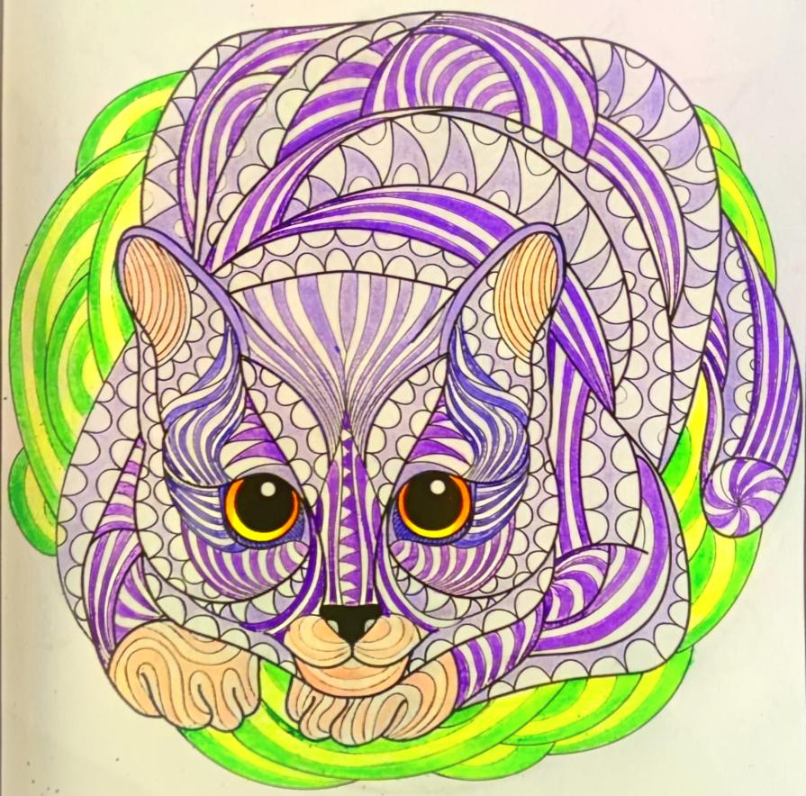 Gli occhi di un gatto sono finestre...!!!