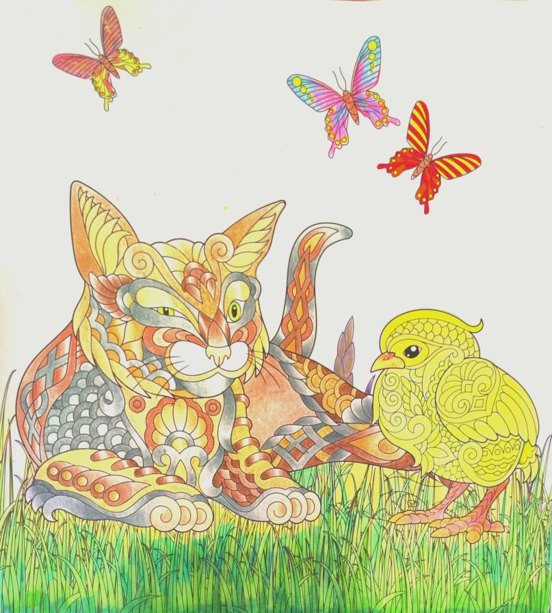 Il gatto è imprevedibile ed ammaliante come un’orchidea selvaggia...!!!