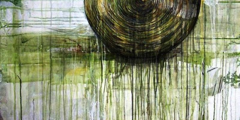 Mostra personale di Carolina Luzón Toro