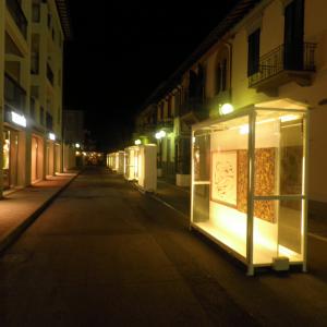 ESPOSIZIONE 2017 ALLA MARGUTTIANA A FORTE DEI MARMI