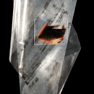 Candida Ferrari. Foglio su foglio Candida Ferrari. Foglio su foglio