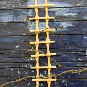 L'ISTINTO E LA MENTE al Club Meridiana di Modena