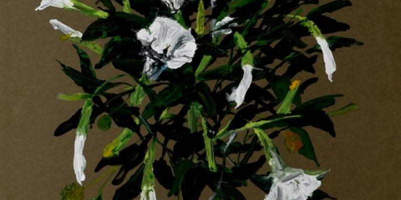 Massimo Pulini e Giacomo Cossio, Il destione dei fiori