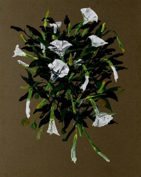 Massimo Pulini e Giacomo Cossio, Il destione dei fiori