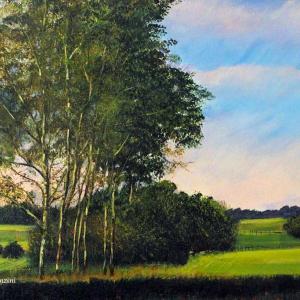 Dal 7 Gennaio a Modena visioni personali del paesaggio in "Dimensione ambiente"