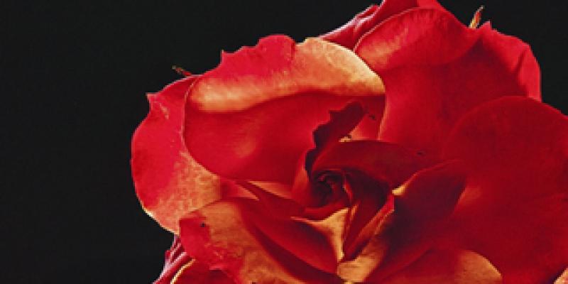 Look Victoria 2011 Look Victoria 2011