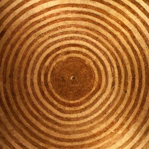 Soqquadro partecipa a CATS