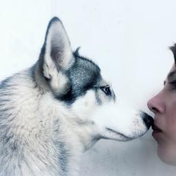 Paola Simona Tesio Paola Simona Tesio