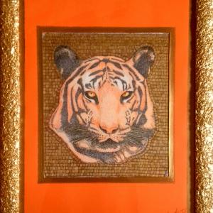 Donne,Forme e Colori 2019