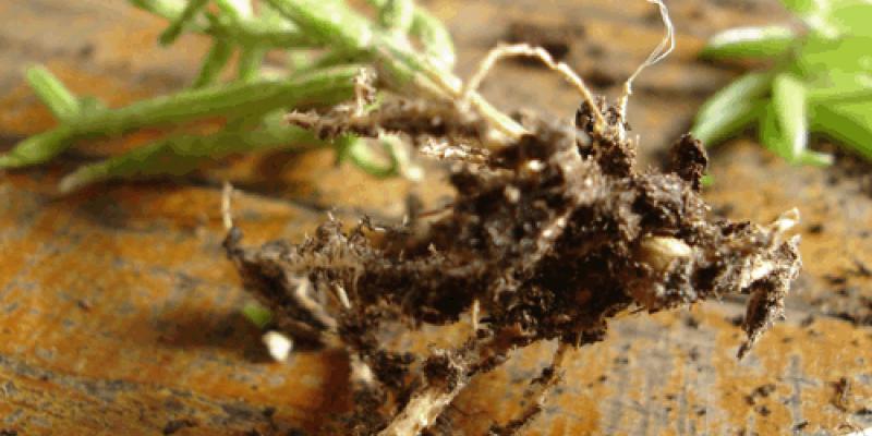 DISASTRI NATURALI @ lunedi sostenibili