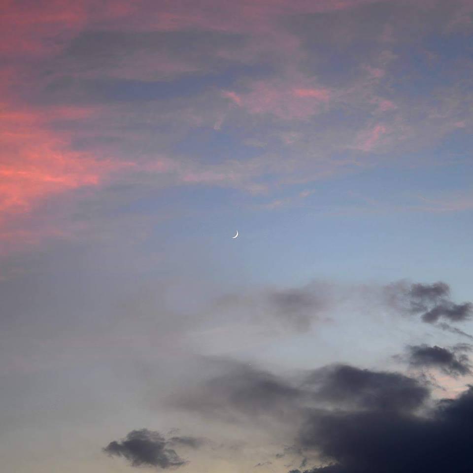 SOGNATORI SULLA VIA DELLA LUNA (Potenza, Galleria Idearte, Via Londra, 75 - 27 novembre 2016 - 4 dicembre 2016)