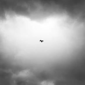 Allegoria di un bolide