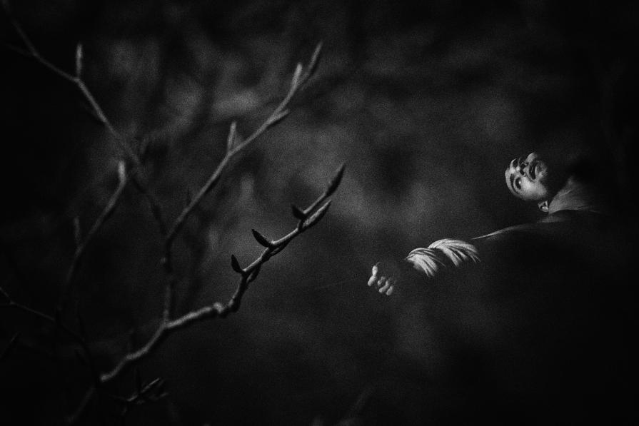 Animula Vagula Blandula