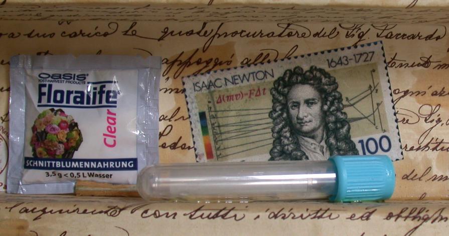 Il sussdiario, dettaglio