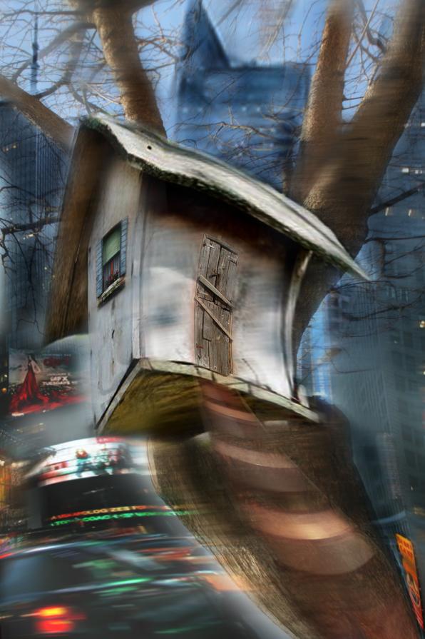 dal blog di holly. la baronessa  sull'albero a New.York..