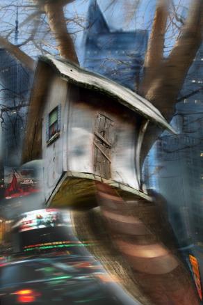 dal blog di holly. la baronessa  sull'albero a New.York..