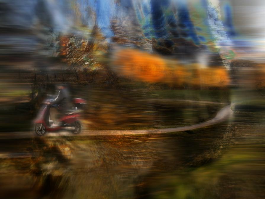 siamo una cellula in  una comunita' di cellule.in un involucro totale.