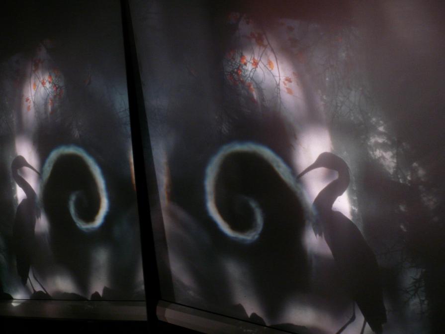 The Pussy,the mirror,the window,the spiral and the egret.Dimly by mirror.Sasom i en spegel..I.BERGMA