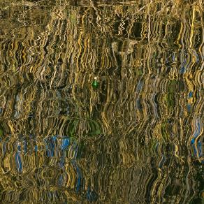 costrette a navigare