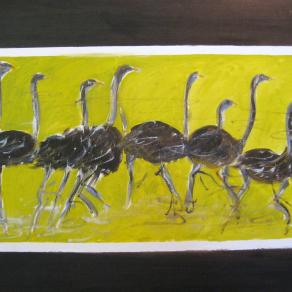 LA CORSA DEGLI STRUZZI