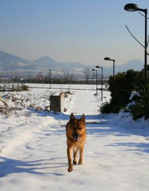 A tutti gli amici di Celeste & C. buon ferragosto
