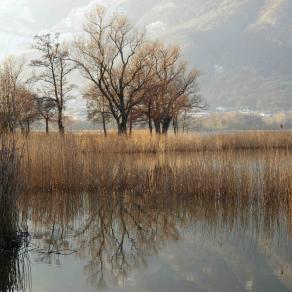 " AUTUNNO IN BRIANZA "