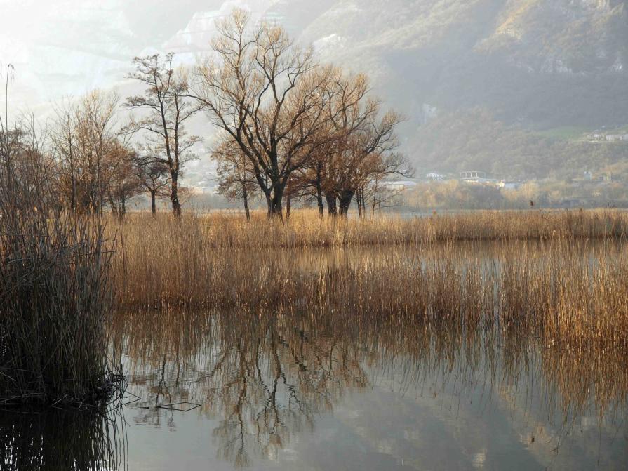 " AUTUNNO IN BRIANZA "