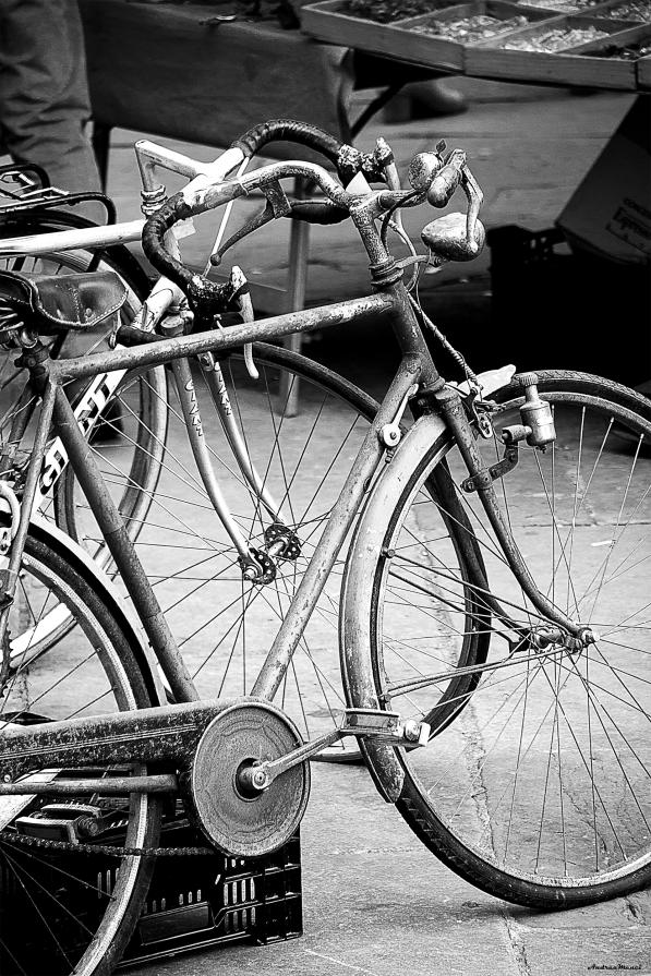 ...SCHEGGE DI OCCHIO DI RA (22)... 