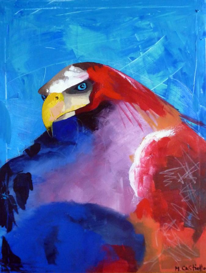 "ho vosto un aquila" 2013