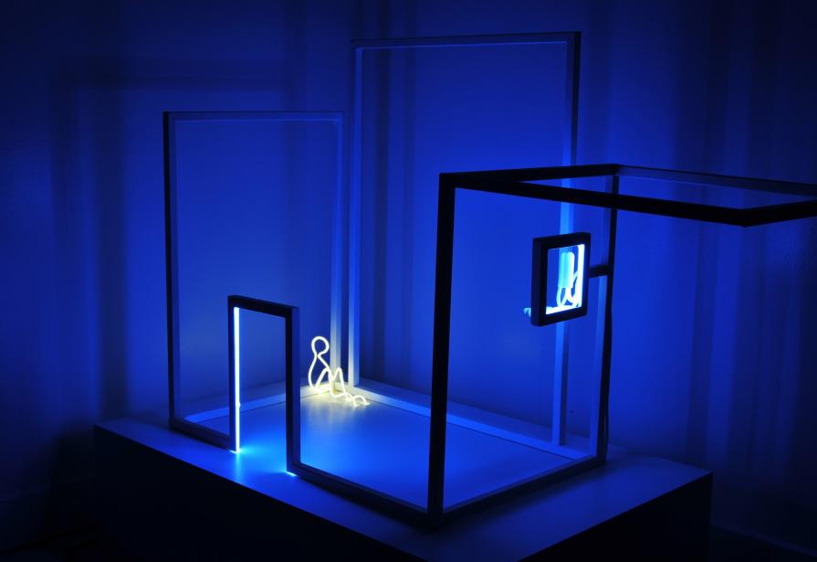 Did you see me? Did you see me?