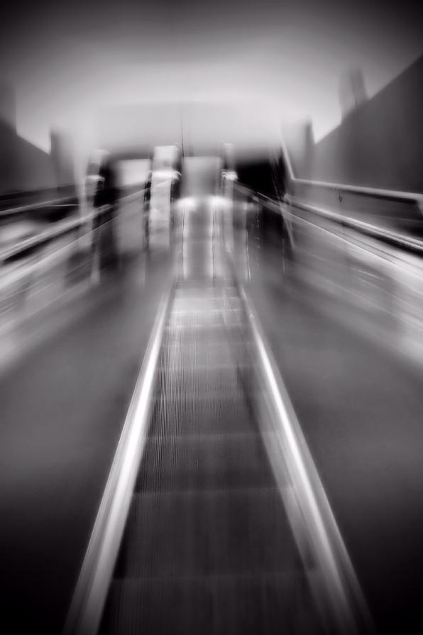 La strada che devo percorrere 