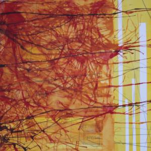 Cartografías del caos