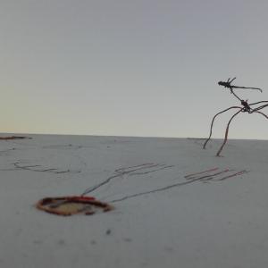 La caccia di gruppo La caccia di gruppo