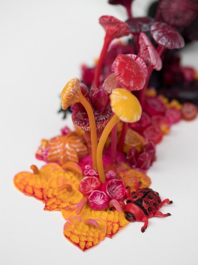 Detail shot of a lotus pod / bug