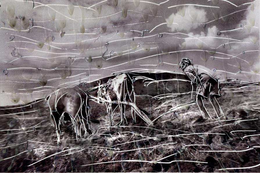 la mia africa,   ricordati di ricordare ,tutto cio che è vecchio rischia di sparire.