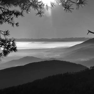 Paolo Bongianino Nebbia in pianura