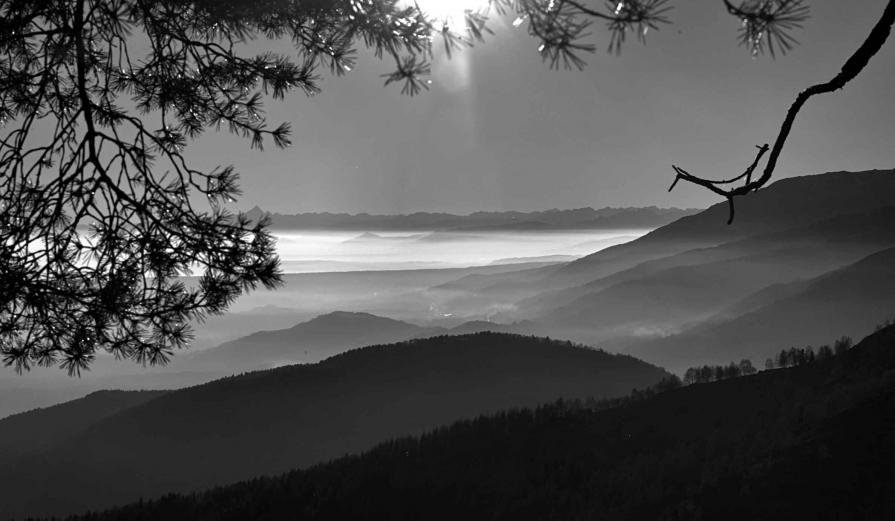 Paolo Bongianino Nebbia in pianura