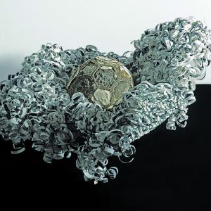 IL CAVOLO PERMANENTE DI WILSON