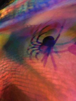 I colori della biodiversità