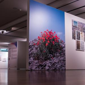 Buonanotte e Sogni d'Oro al Museo